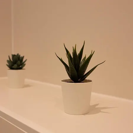 Appartement Deluxe *